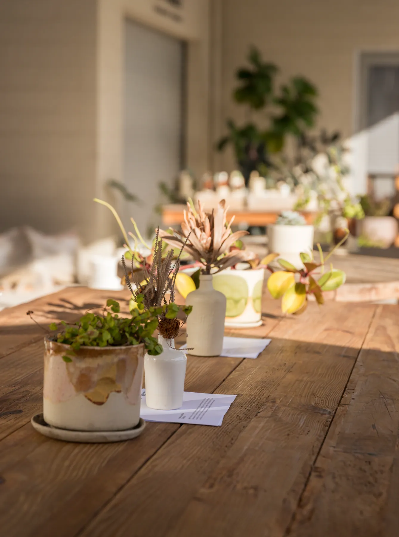 A sunlit table prepared for the Noosa community event